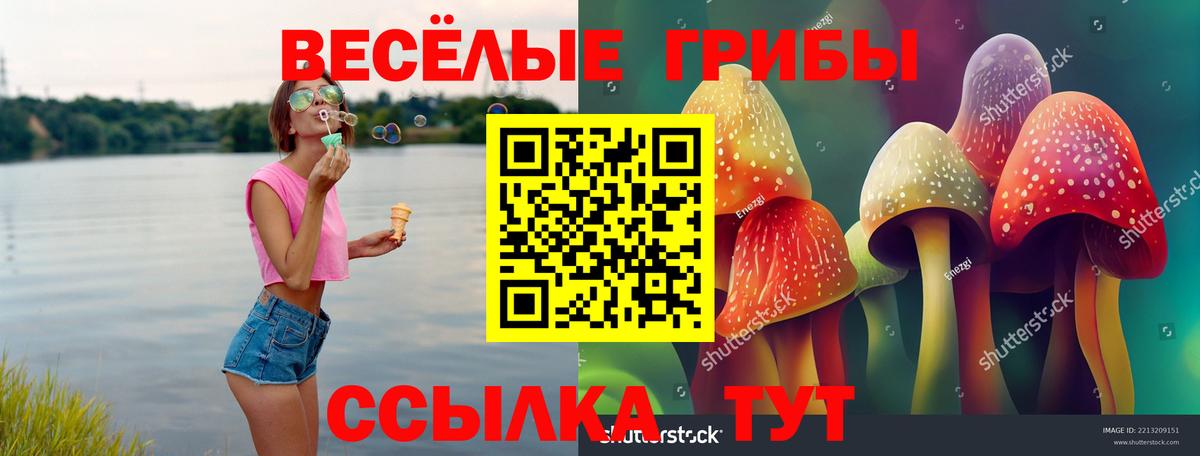 Галлюциногенные грибы ЛСД Биробиджан